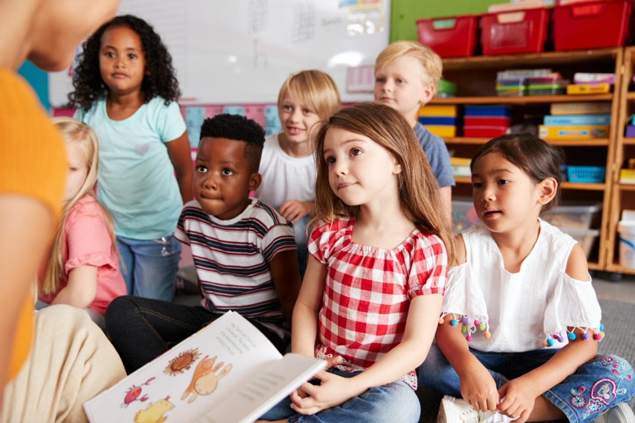 School Consults